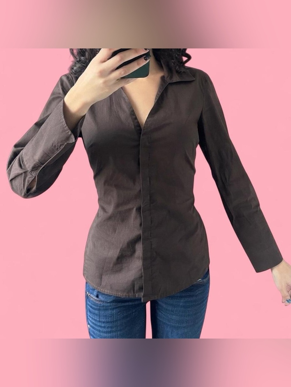 Ann Taylor Brown Fitted Button-Front Blouse